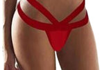 Mesh transparent erotic pleasure panties